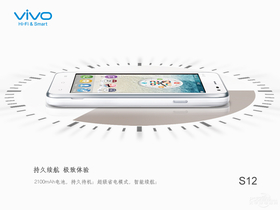 vivo S12ɣ