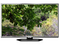 TCL L48E4680A-3D