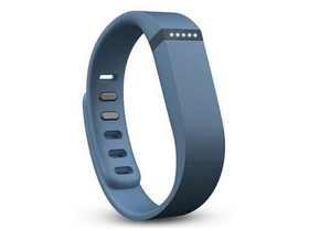 Fitbit Flex