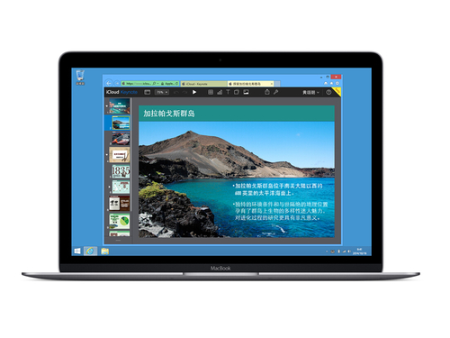 苹果 新MacBook(MLH72CH/A)