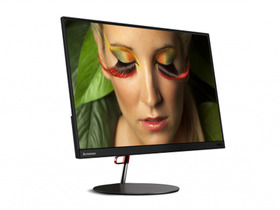 ThinkVision X24