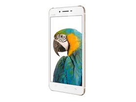 vivo X6s