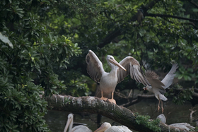 ʿXF100-400mm f/4.5-5.6