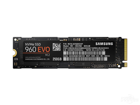 960 EVO M.2 SSD 250G