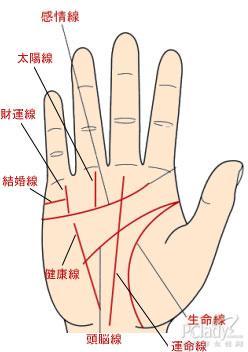潘教授:看手纹预知你的健康