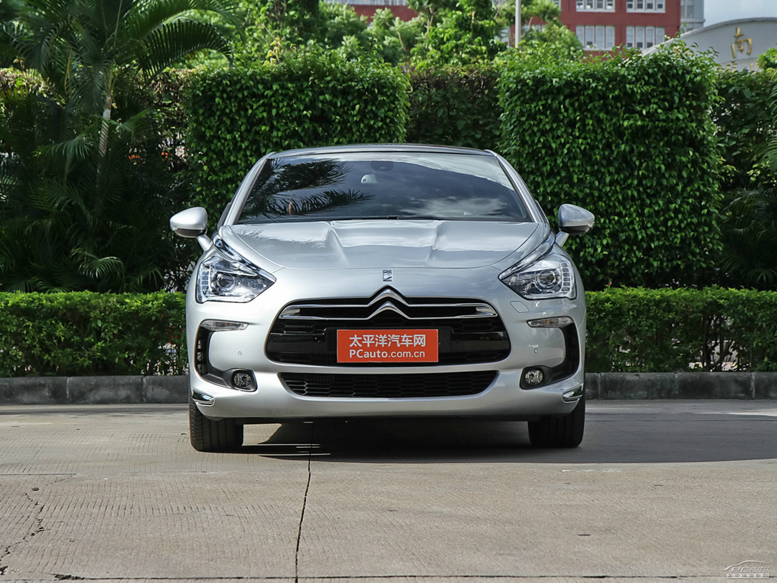 DS 5(进口)