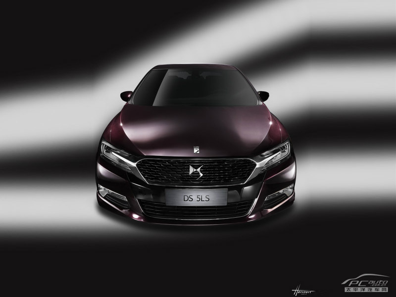 DS 5LS(海外)外觀