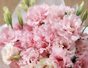 世纪感恩母亲节 让爱你的女人更美丽_苏州世纪