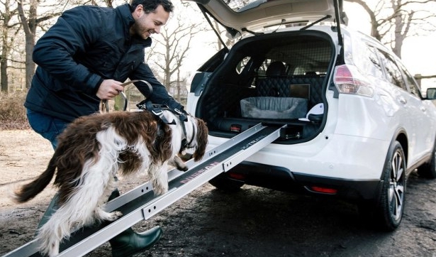 真正的人狗车，奇骏4DOGS专为狗狗定制的一款车