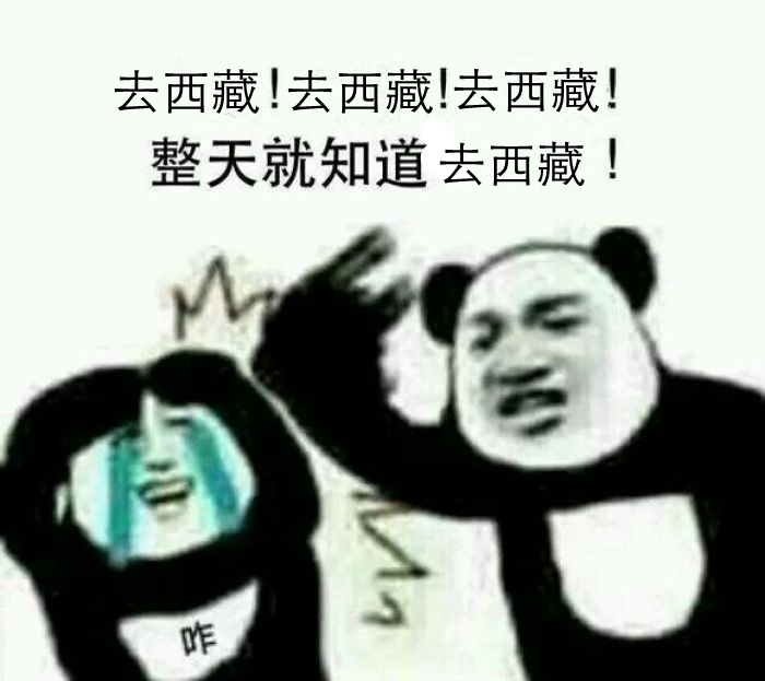 别再问开什么车进藏? 这问题我要吐了！