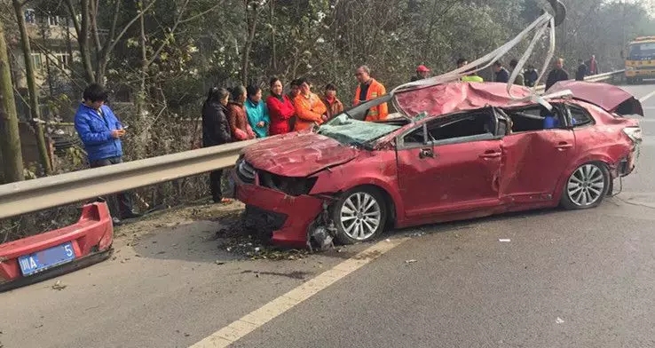 開車撞到小動物，除了乖乖賠償，還能做什么？