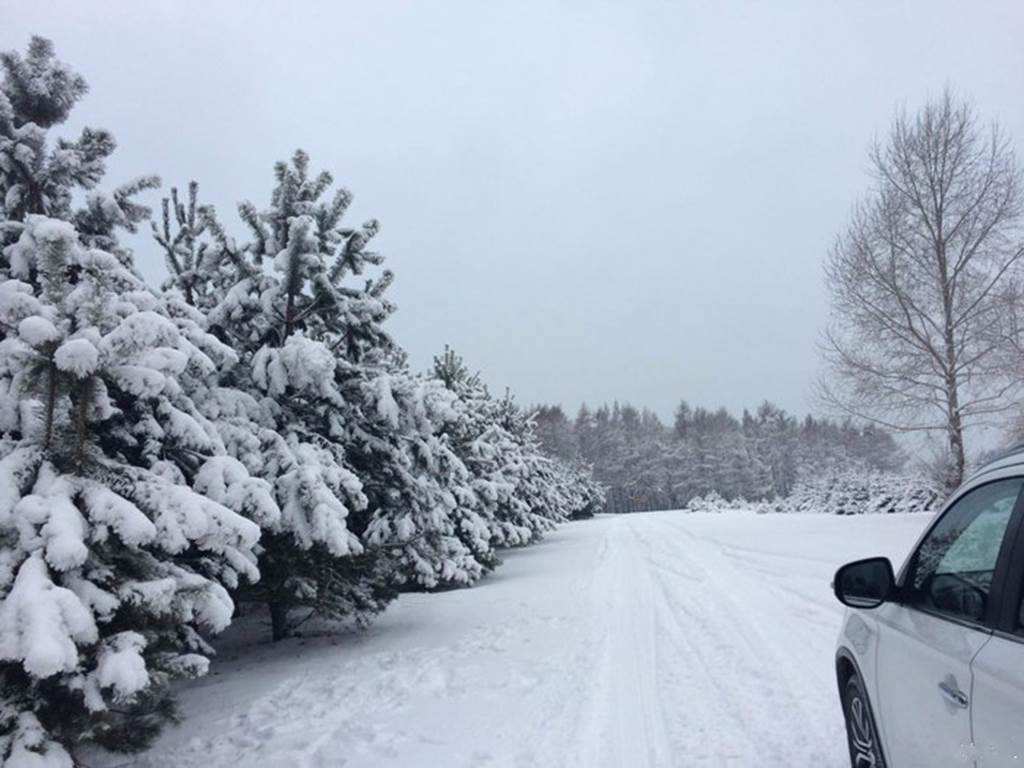 冬季行車指南：想在雪地上撒點(diǎn)野？沒點(diǎn)真本事可不行