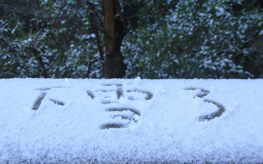 【車這事】白雪紛飛雖美好，開車出行卻頭疼，怎么辦?。。±纤緳C