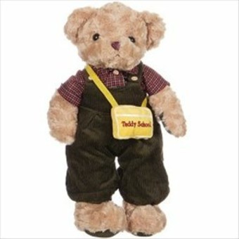 瑞奇比蒂 外贸品牌穿衣上学背包泰迪熊 棕色 男