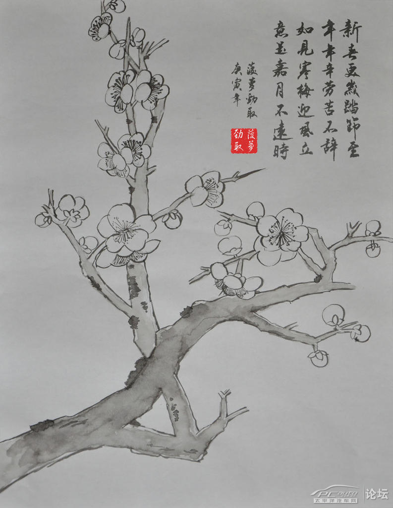 新春将至,作诗一首,画梅一株,祝上海分会所有tx:新年如意