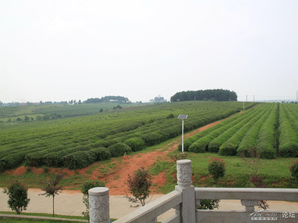 南昌县黄马乡——绿色生态旅游.