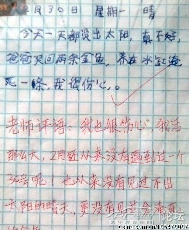 怎一个谢字了得 作文