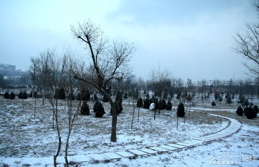 【印象银川】贺兰雪景_宁夏论坛_太平洋汽车论坛