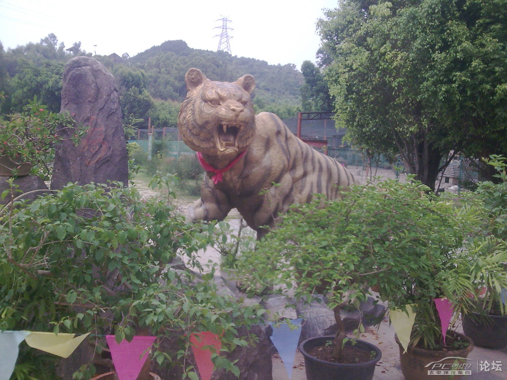 厦门观音山梦幻世界及海沧动物园