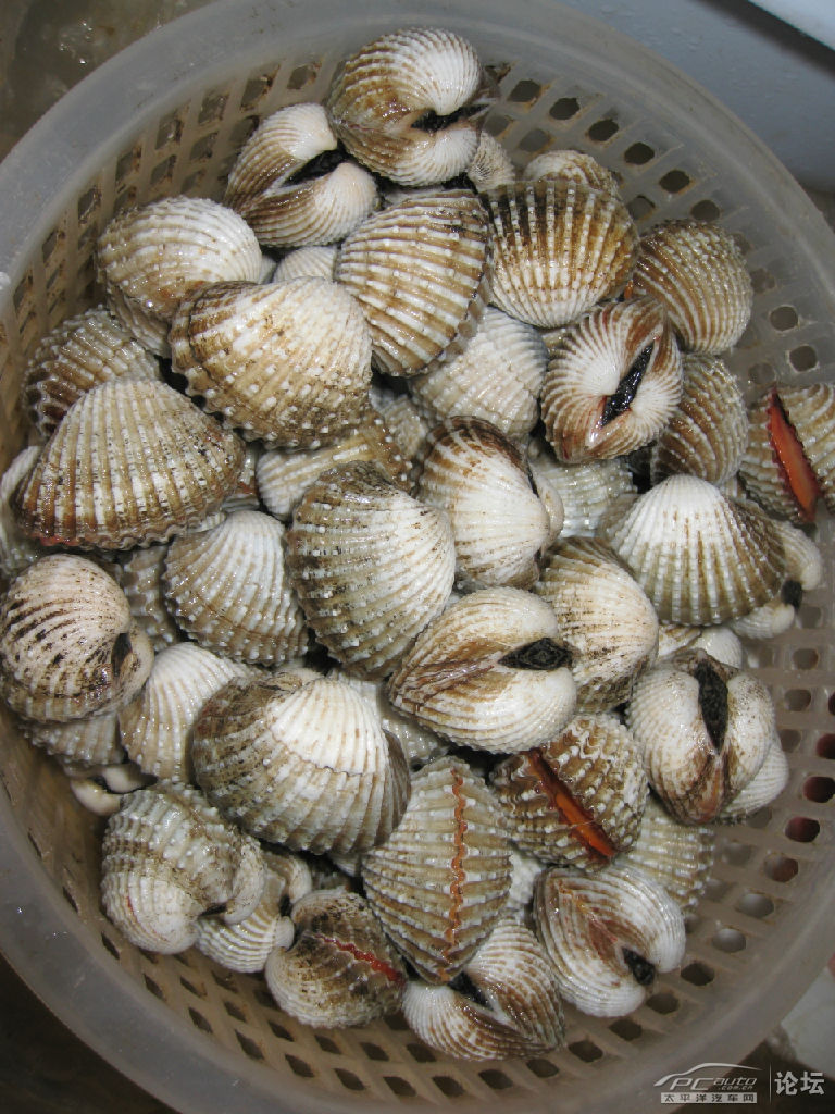 潮汕特色海鲜之一~~血蚶