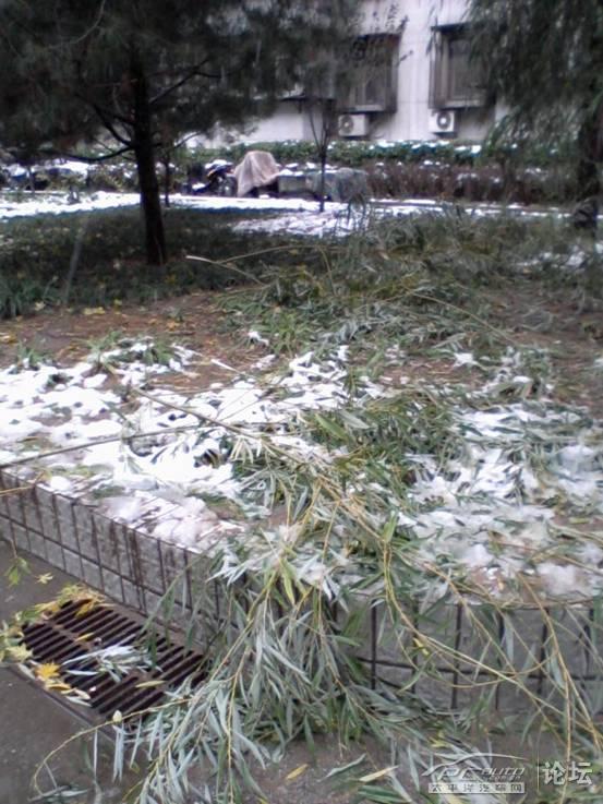 {下雪后的说说}.