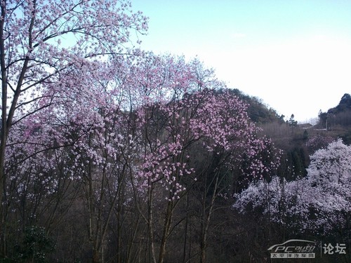 江油自驾群【川越团】略图车友四川九皇山(药藏地最新版v自驾攻凯越图片