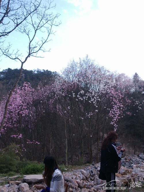 婺源攻略群【川越团】凯越车友江油九皇山(药四川到上饶一日游自驾图片