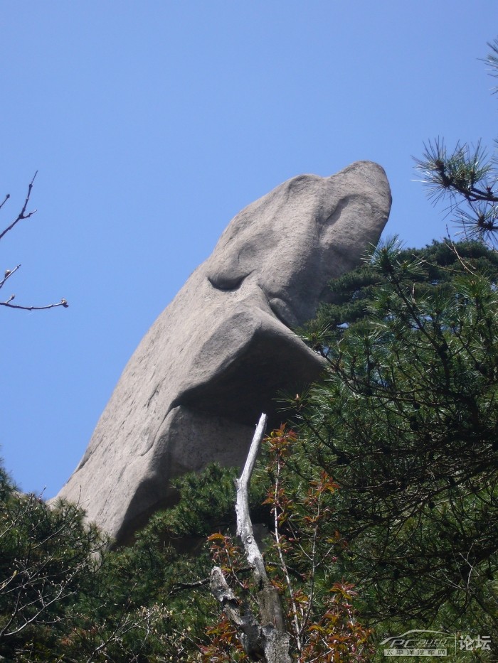 天狗望月
