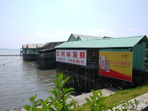 六一儿童节 去番禺海鸥岛吃一元半斤虾 游莲花山