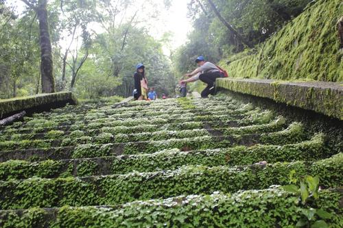 跟着斯巴鲁去游大理永平县宝台山国家级森林公