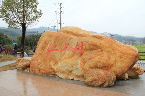 油菜花盛开,花都红山村游记