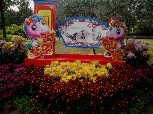 乘动车东风,深圳东湖公园赏花过春节