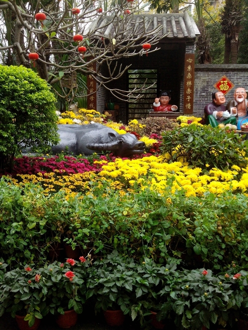 乘动车东风,深圳东湖公园赏花过春节