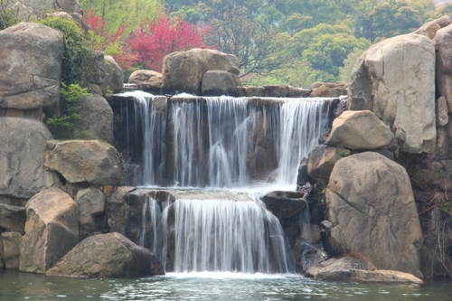 苏州白马涧龙池风景区郁金香节