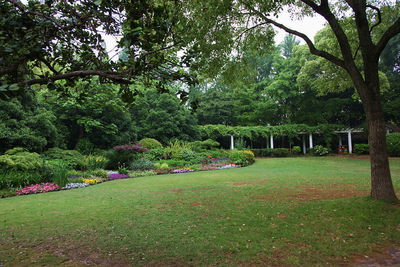 游览上海郊区景点《嘉定汇龙潭公园》