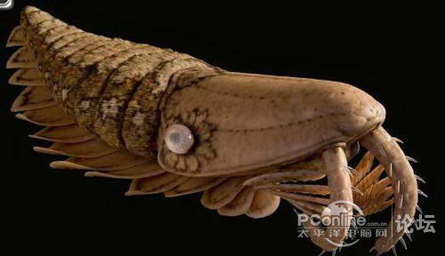 上古深海巨虾锐牙如武器 称霸海底数千万年
