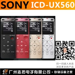 Sony/ ¼ ICD-UX560 565F PCM չTFFM