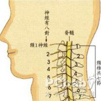 枕大神经痛