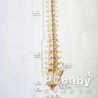 背部骨头疼痛的原因是什么该怎么解决