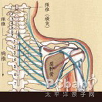 肩胛骨酸痛