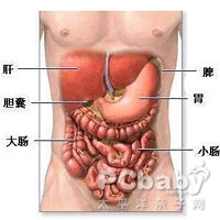 肠鸣音消失