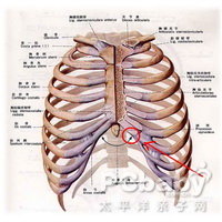 查看详细>>检查诊断1,症状体征侧肋骨痛,胸肋关节处疼痛,压痛,扩胸及