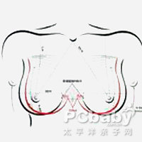 乳房萎缩是怎么回事 乳房萎缩的原因