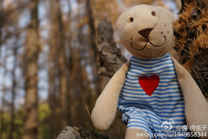 网友带着宜家玩偶去旅行 现购玩偶还能献爱心