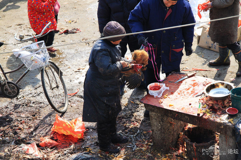 杀鸡现场