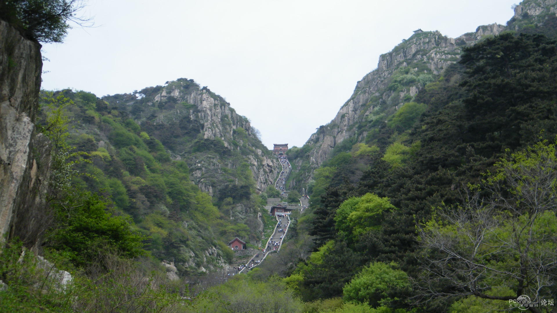 泰山蓬莱行(新手)