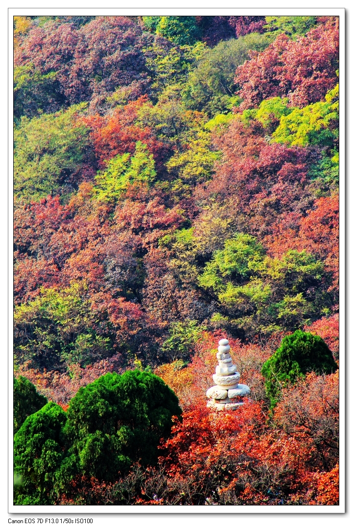 潍坊石门坊--红叶谷