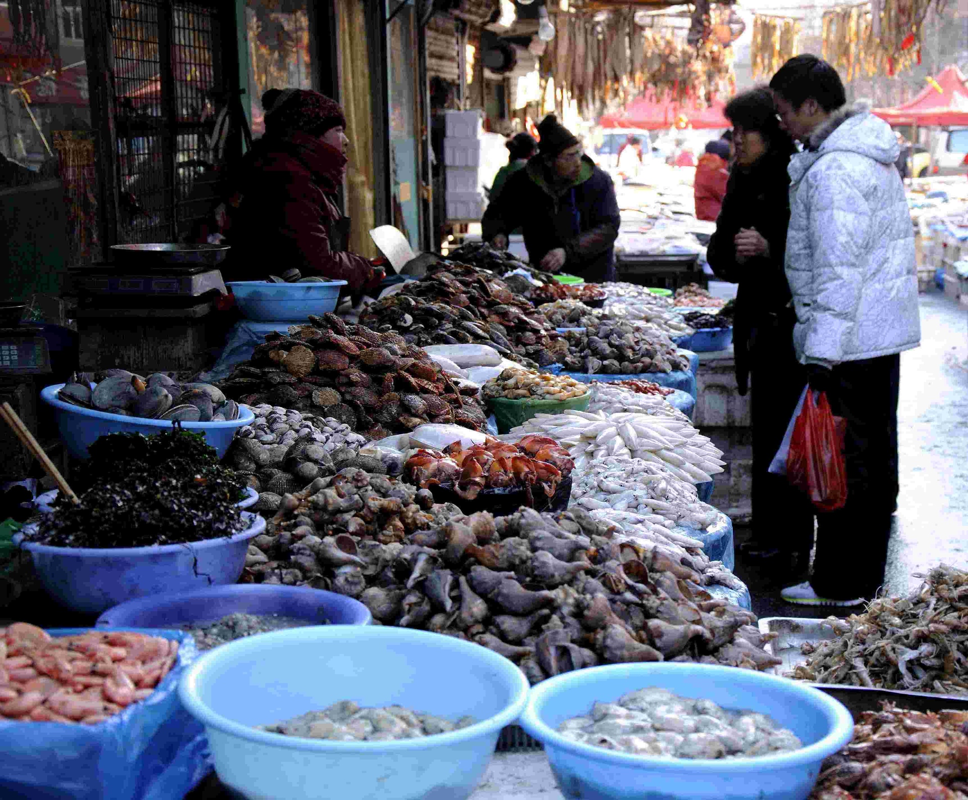 原创 卖海鲜_尼康D90