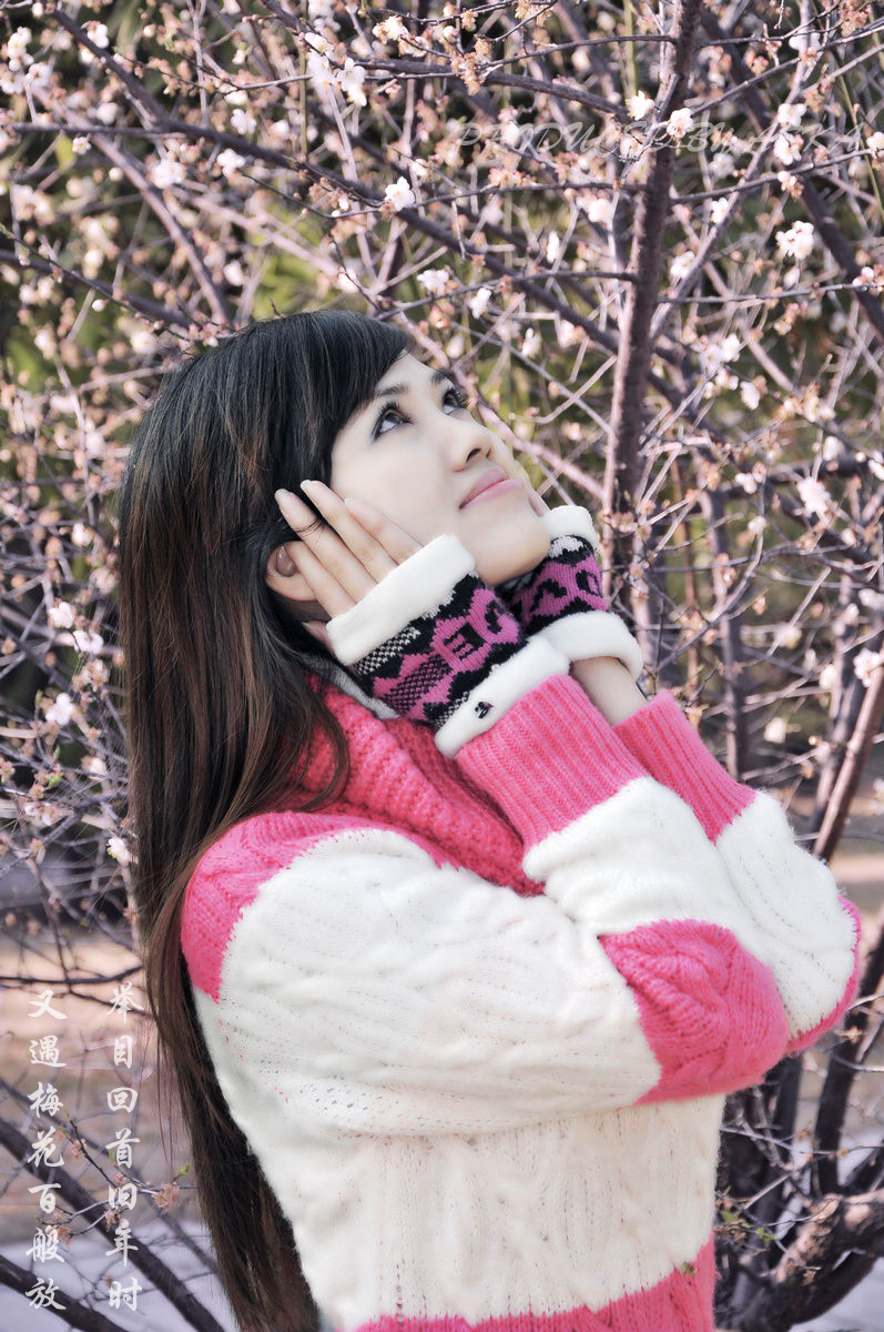 一组梅花配美女.