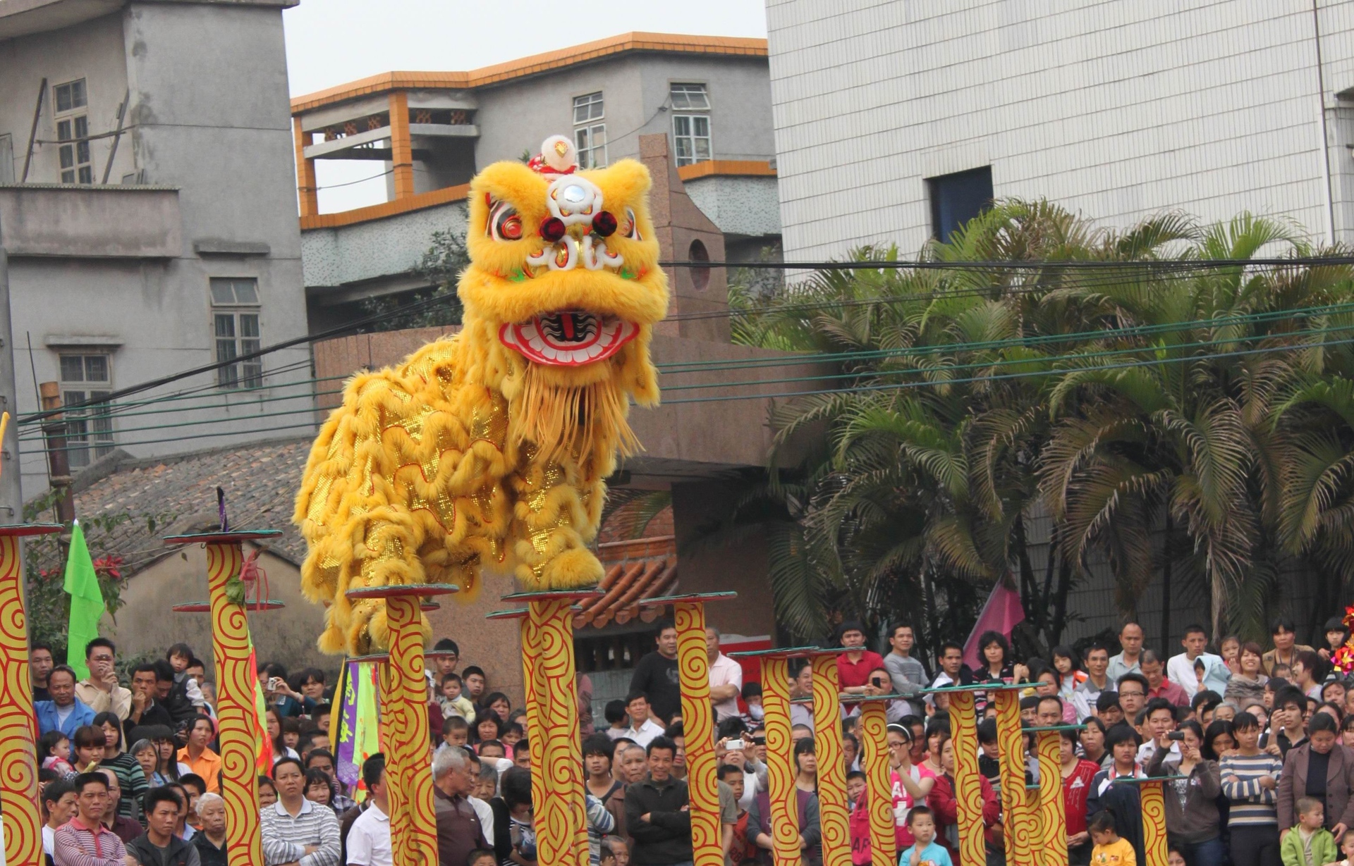 醒狮飞跃